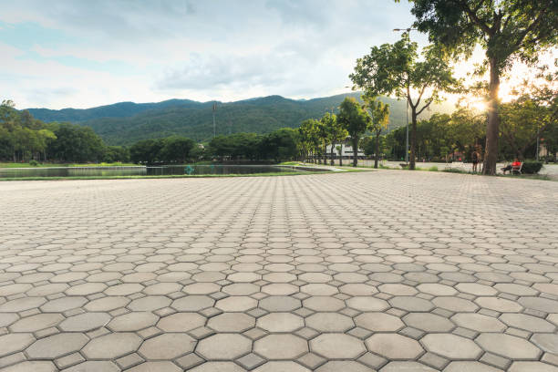 Best Driveway Paving Contractor  in El Macero, CA